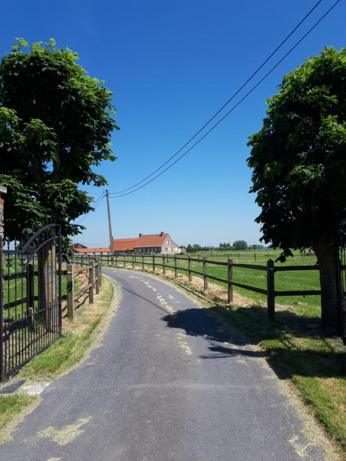 Hébergement de vacances De Blinker